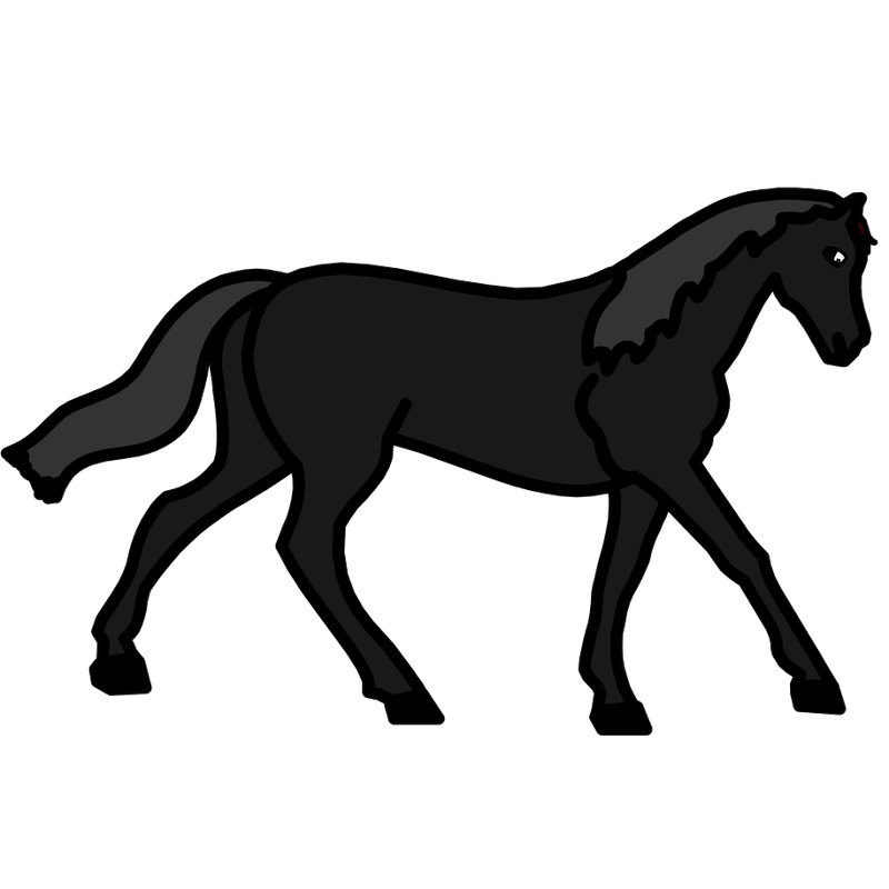 a black horse.